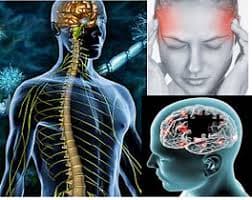 Neurological & Stress Disorders (मानसिक आरोग्य)