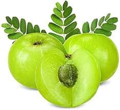 🌿 Ayurveda Benefits of Amla and Amla Churna